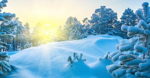 Ese día el cielo estaba especialmente claro y soleado (Parte 1)
