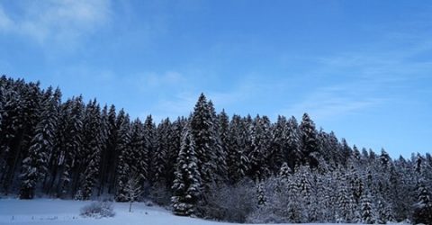 La persecución y la adversidad me ayudaron a crecer