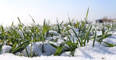 Al borde de la muerte, Dios Todopoderoso acudió en mi ayuda