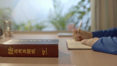 El camino a la purificación