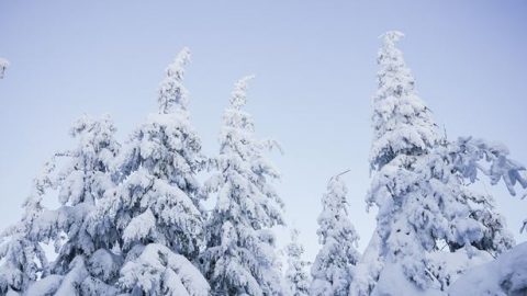 A través de la gran tribulación, yo he cosechado grandes beneficios